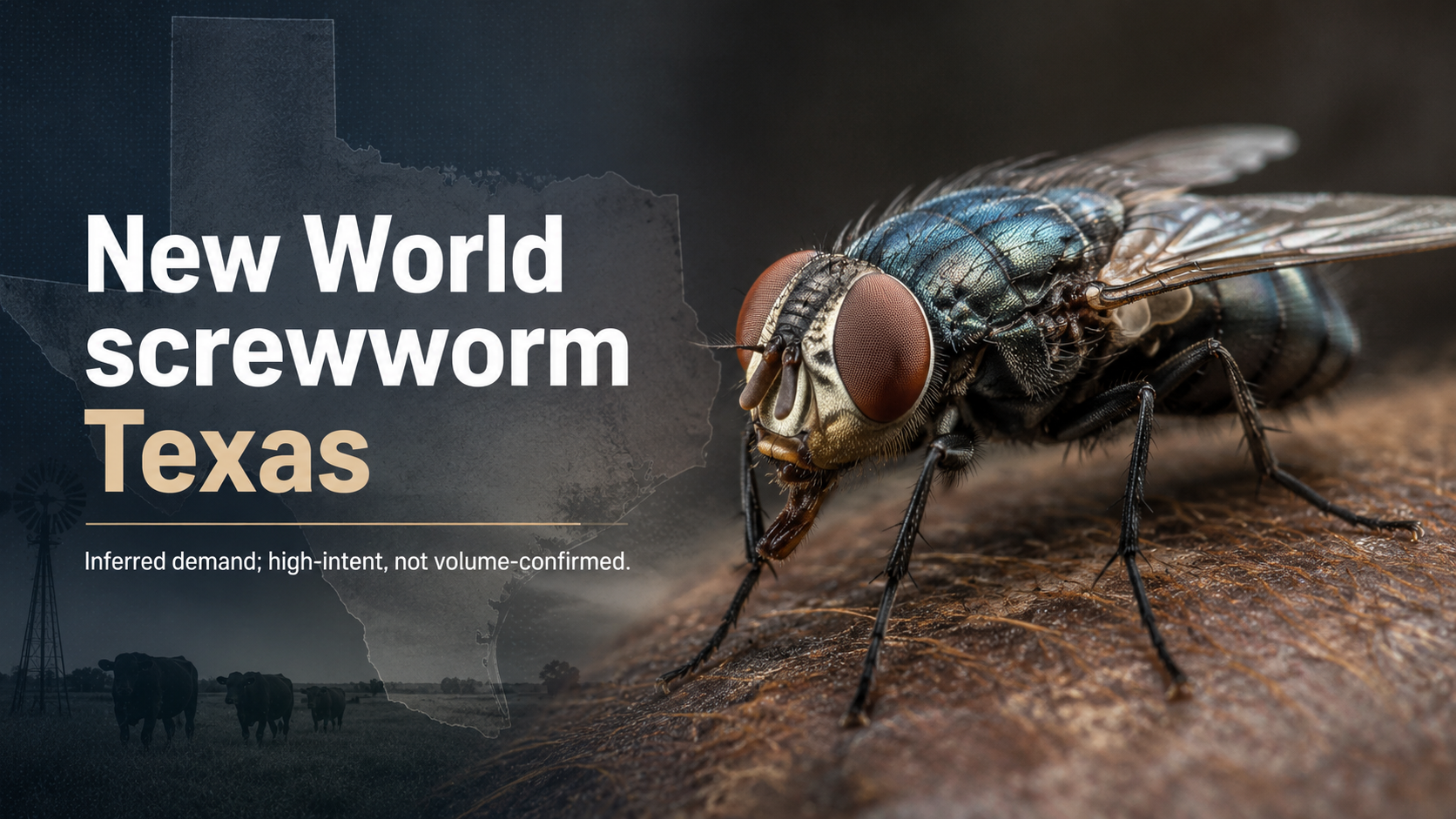 New World Screwworm in Texas: What to Know About Confirmed Cases and Risk