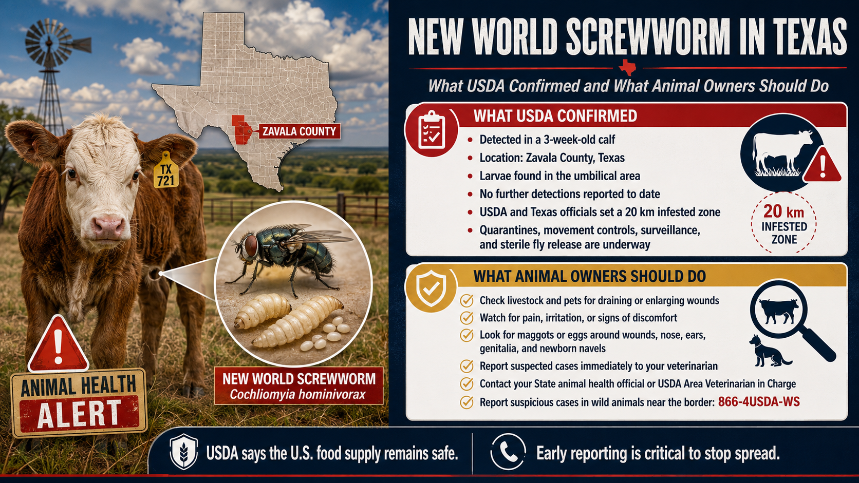 New World Screwworm in Texas: What USDA Confirmed and What Animal Owners Should Do