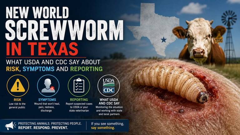 New World Screwworm in Texas: What USDA and CDC Say About Risk, Symptoms and Reporting